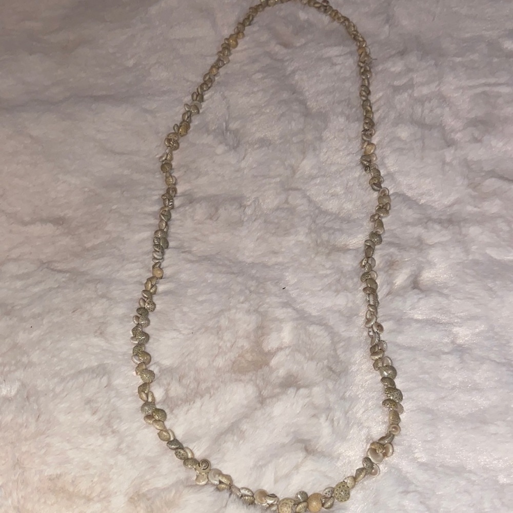 Beautiful seashell necklace